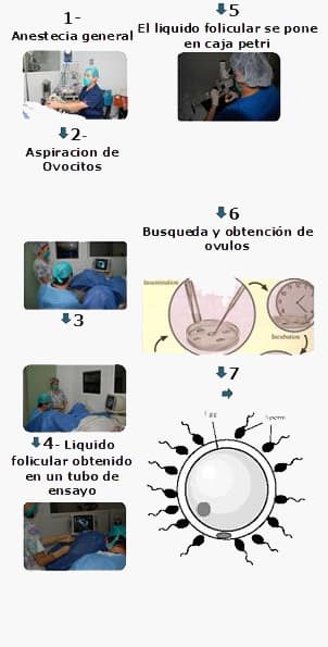Centro de Fertilidad del Prado photo 2