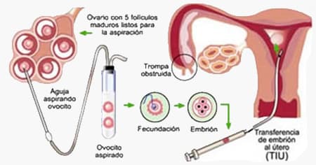 Centro de Fertilidad del Prado photo 3