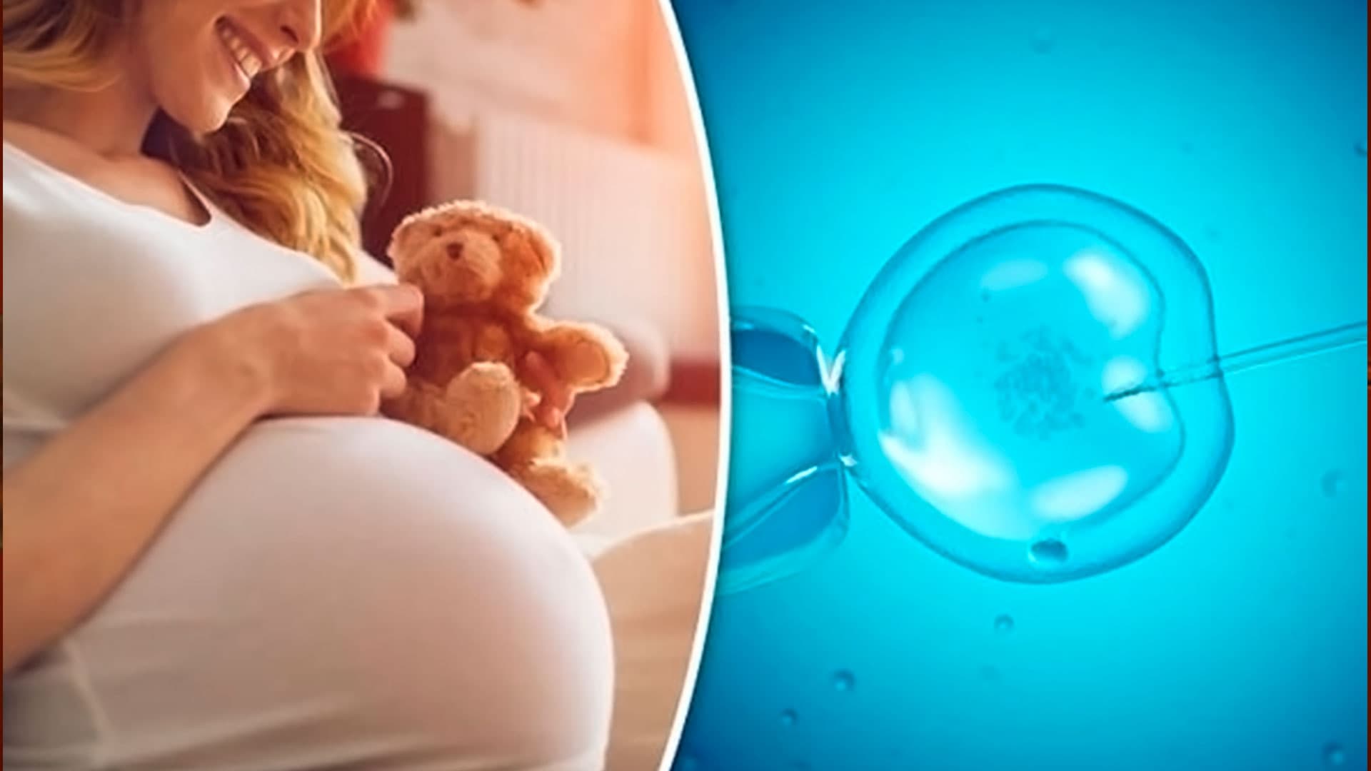 Dra. Ana María Velasco | Especialista en Fertilidad