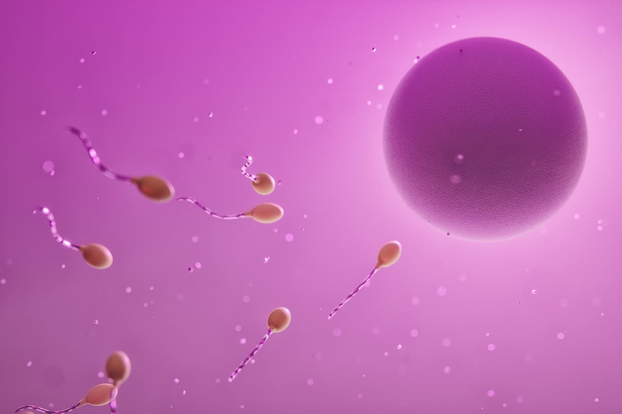 Embryo | Clínica de Fertilidad photo 2