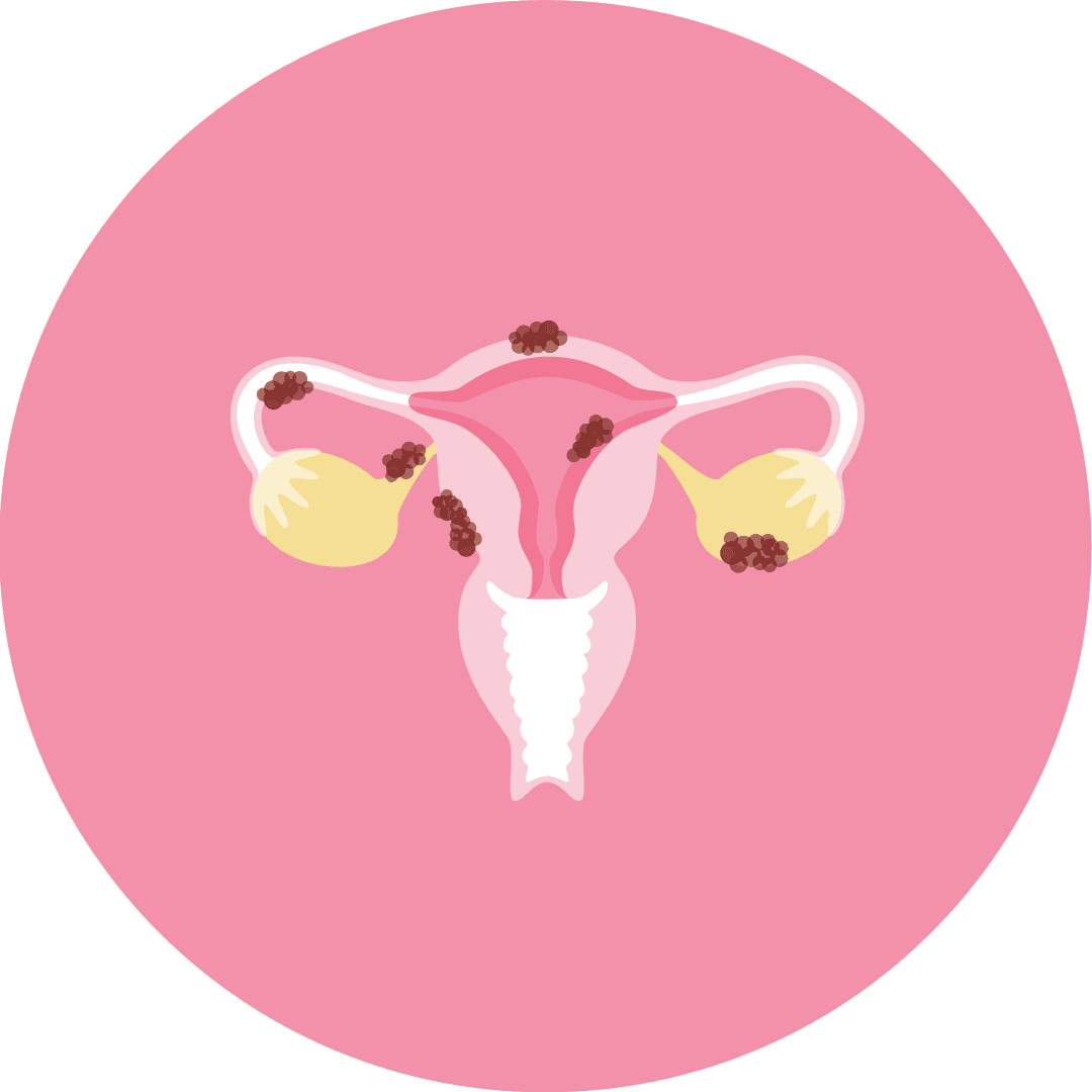 Femme Ginecología y Obstetricia photo 3