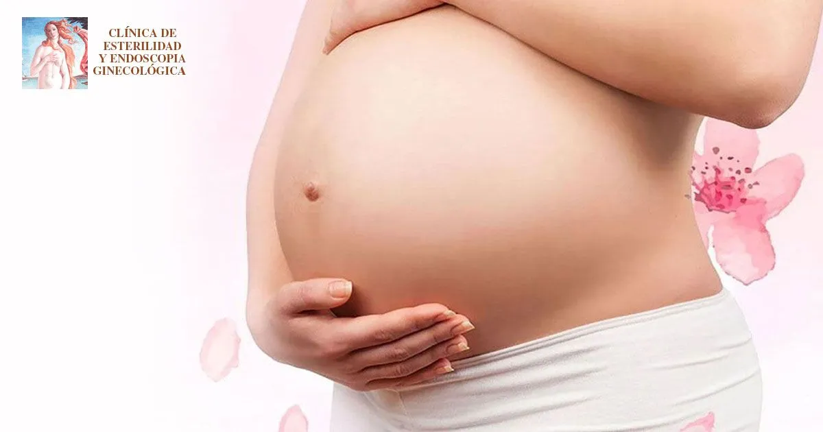 Clínica de Esterilidad y Endoscopia Ginecológica