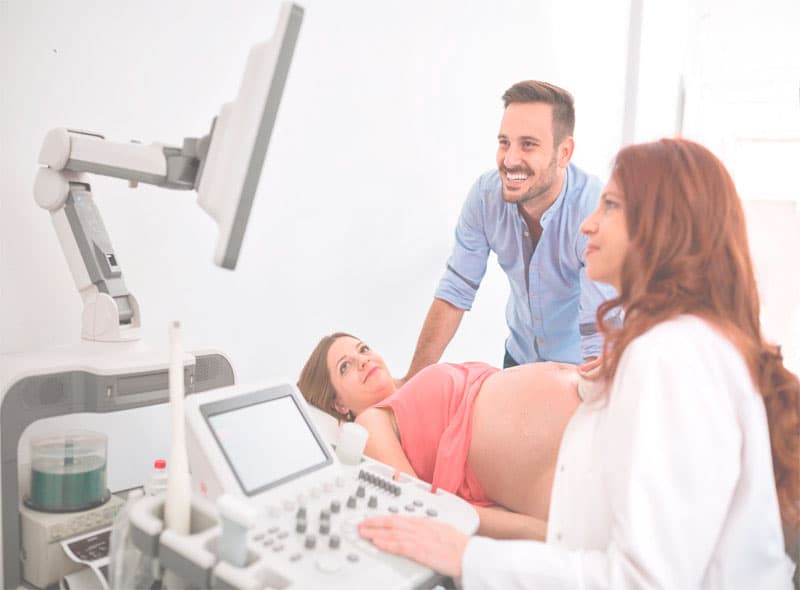 Profertilidad