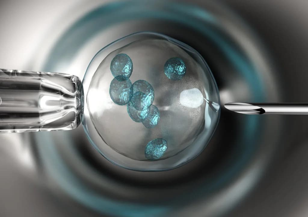 CEMPI Centro de Fertilidad photo 2