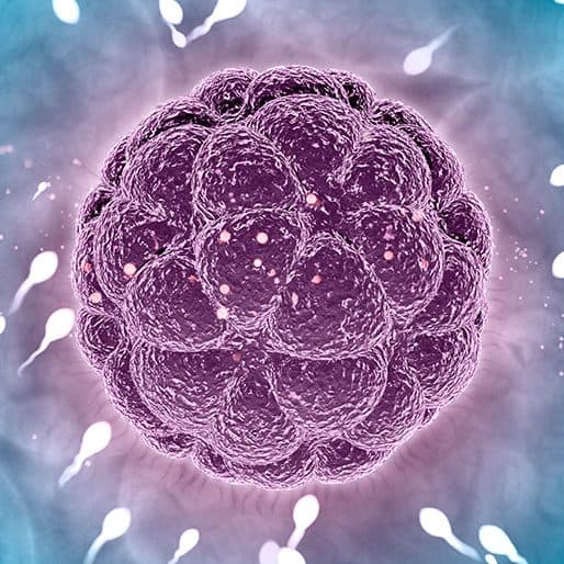 Dra. Ana María Velasco | Especialista en Fertilidad photo 3
