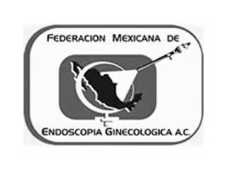 GineMed photo 3