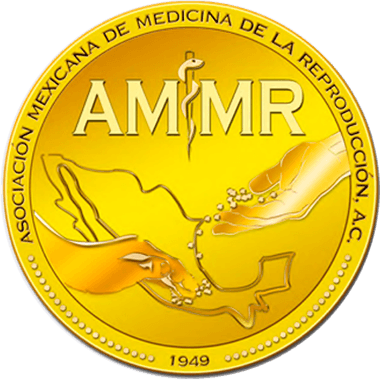 AMMR – Asociación Mexicana de Medicina de la Reproducción A.C. logo