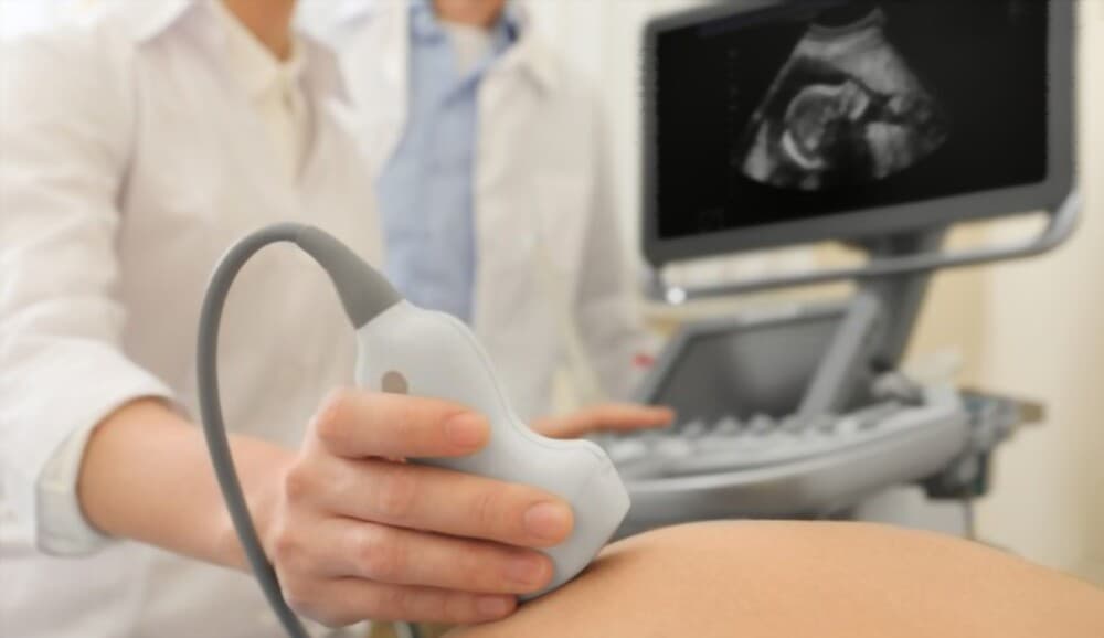 Fertility Day photo 3
