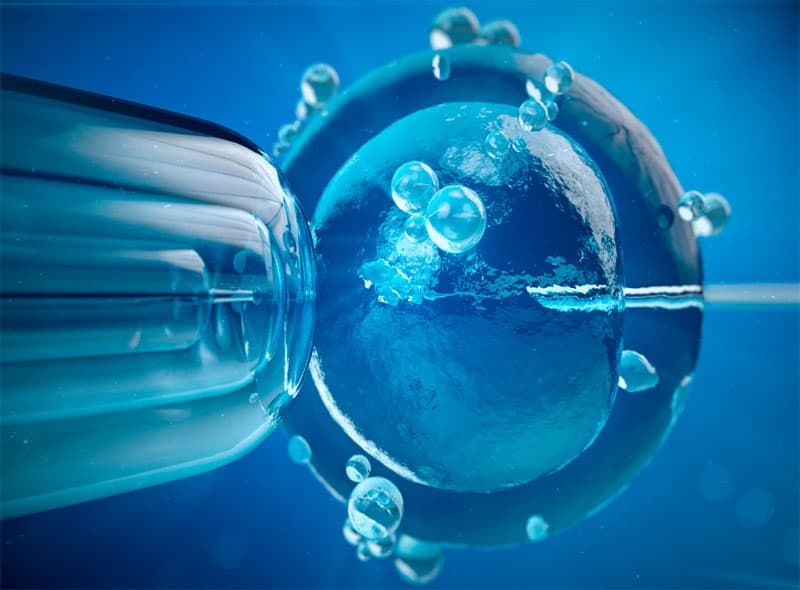 Profertilidad photo 2